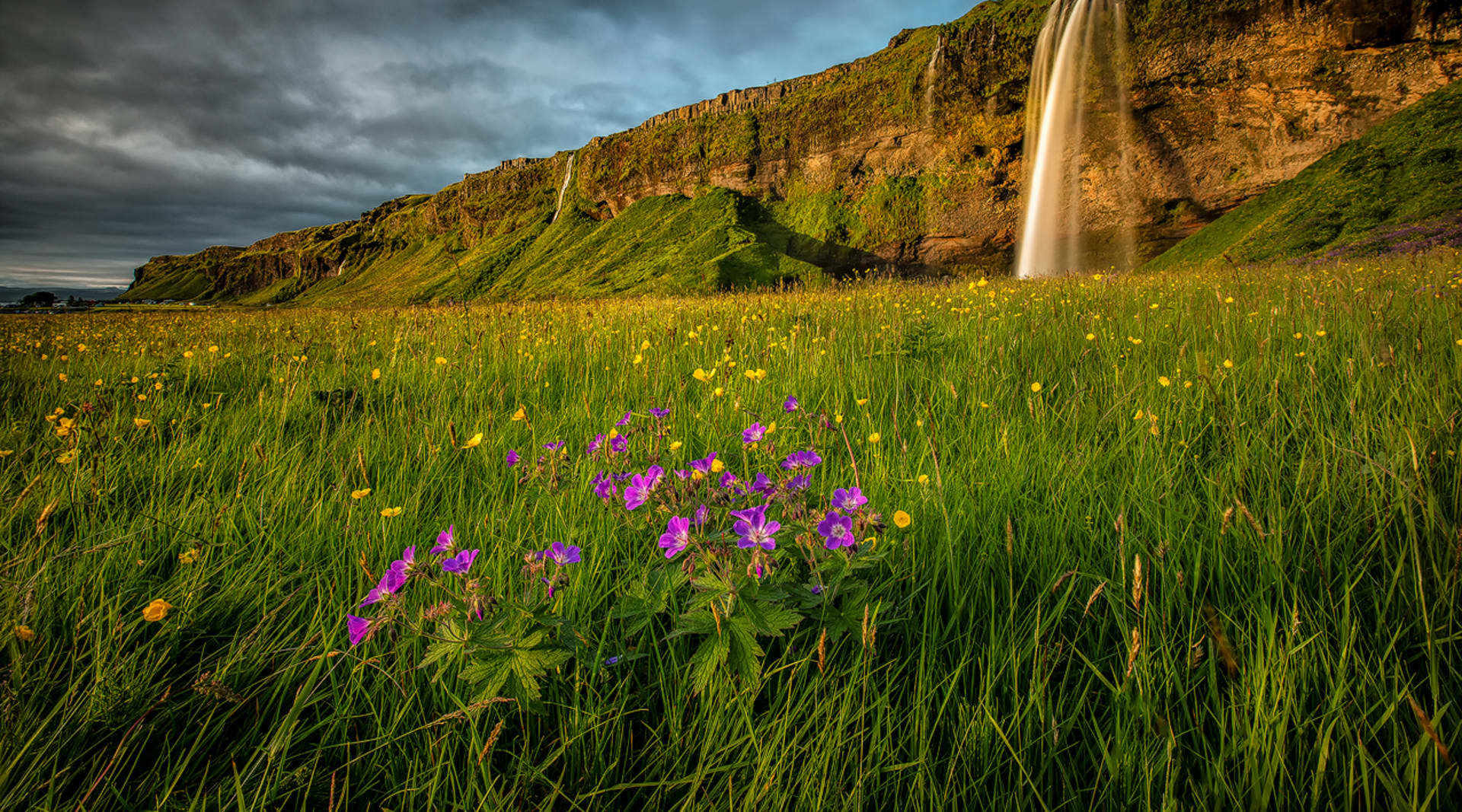 Seljalandsfoss in the South coast day tour