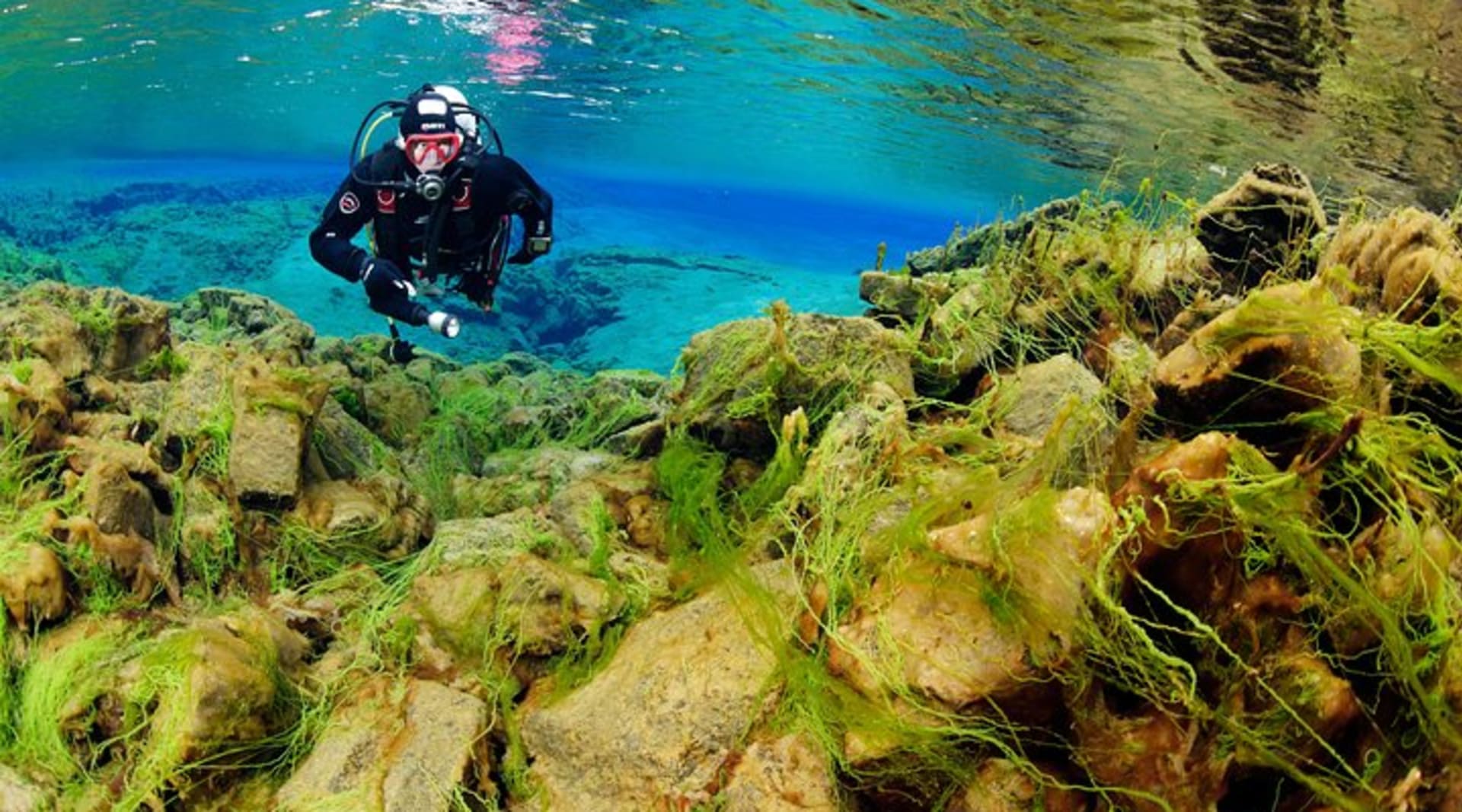 Algae and rock formations in Silfra