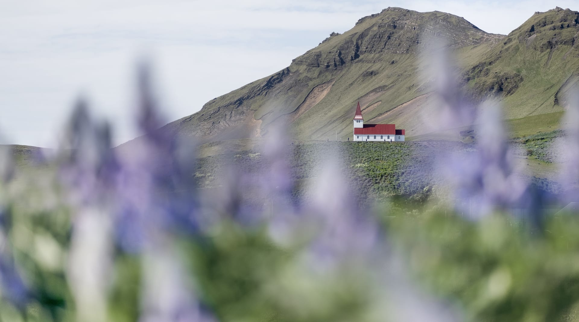 Beautiful country side church at Viking village surrounded by Alaska lupins