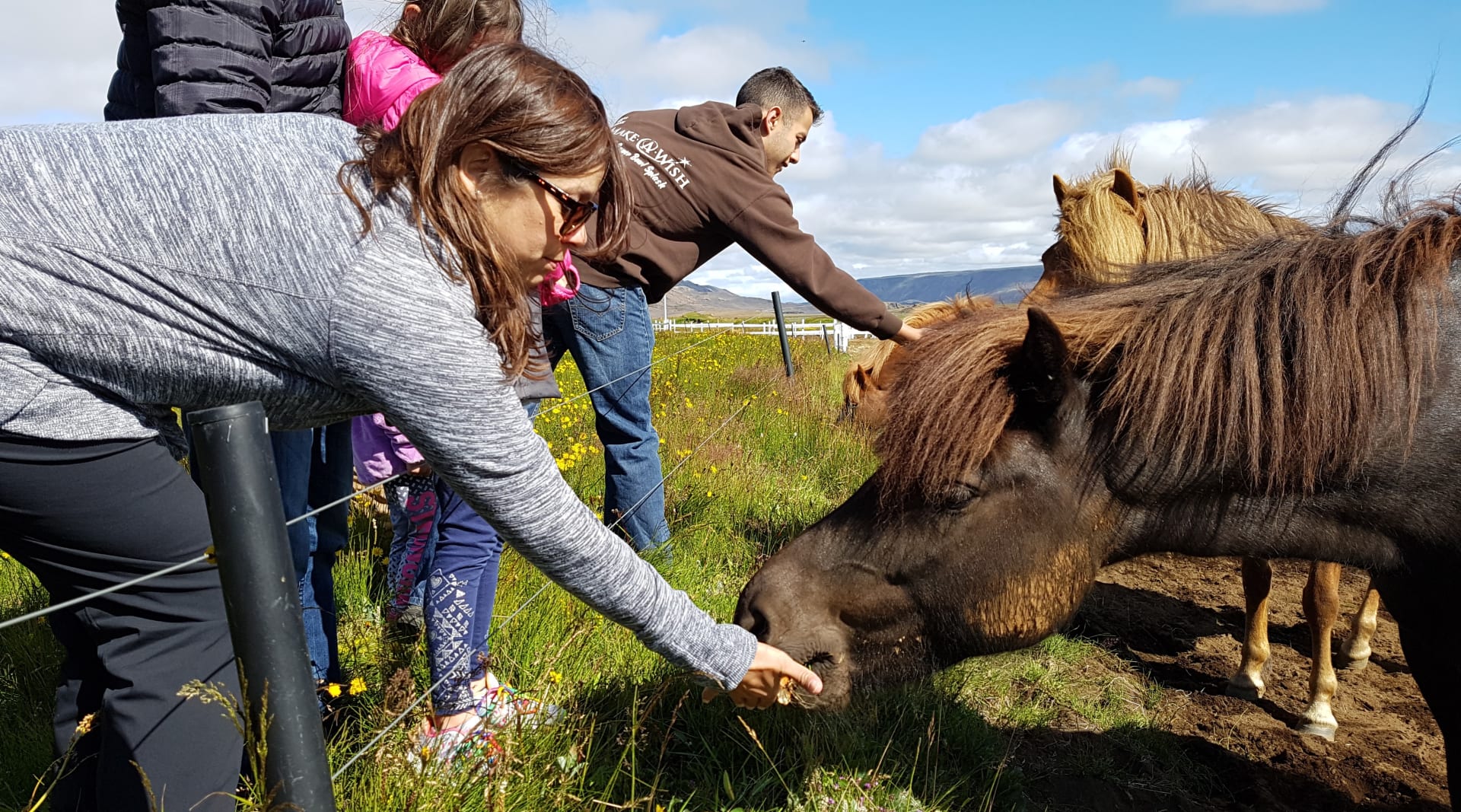 Saying hello to the horses