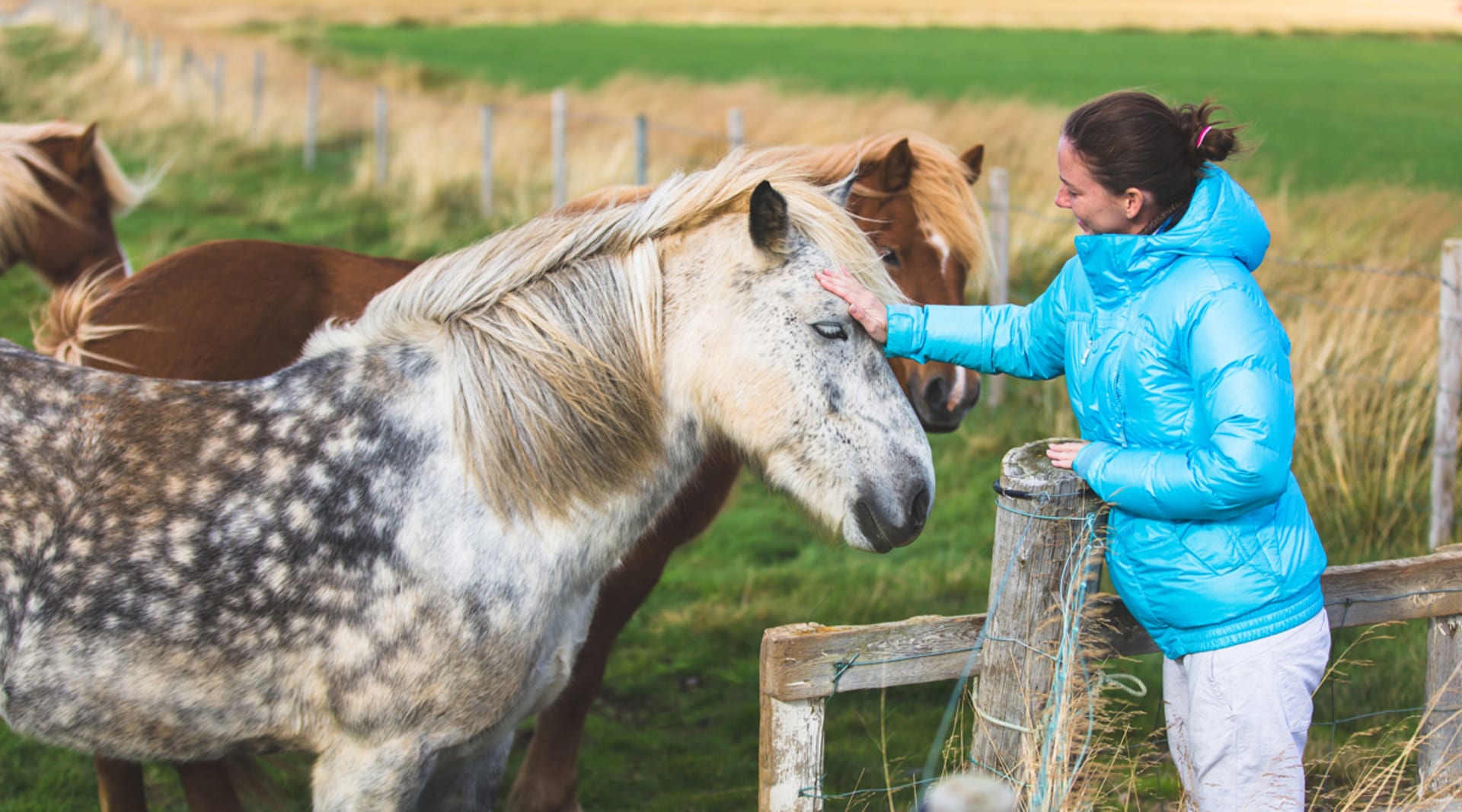 Woman petting horse