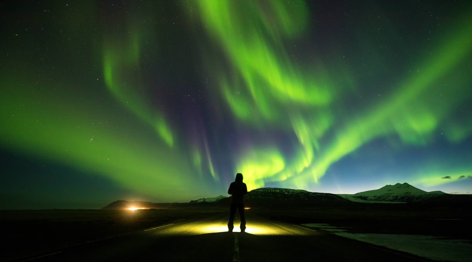 Person looking into the northern lights