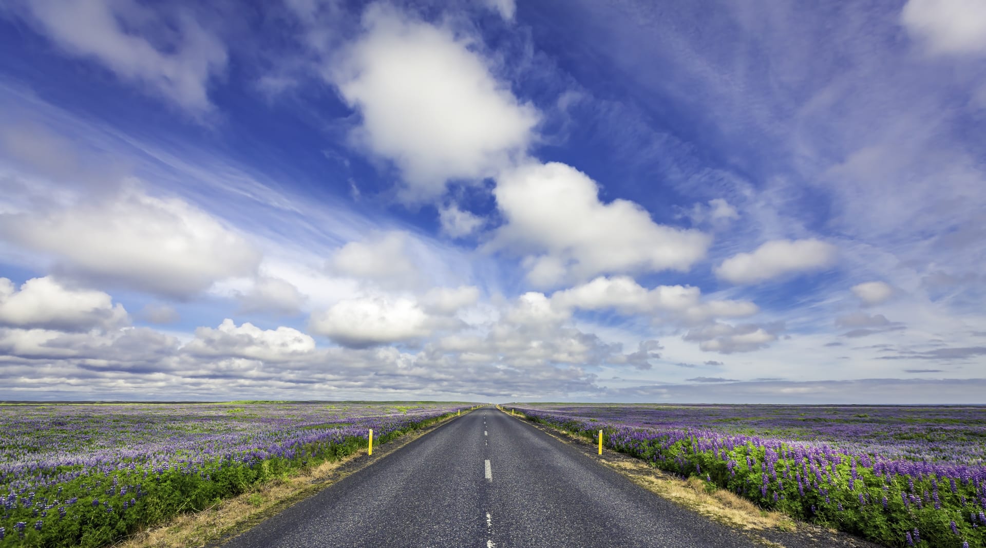 Highway nr 1 on South Coast in Iceland