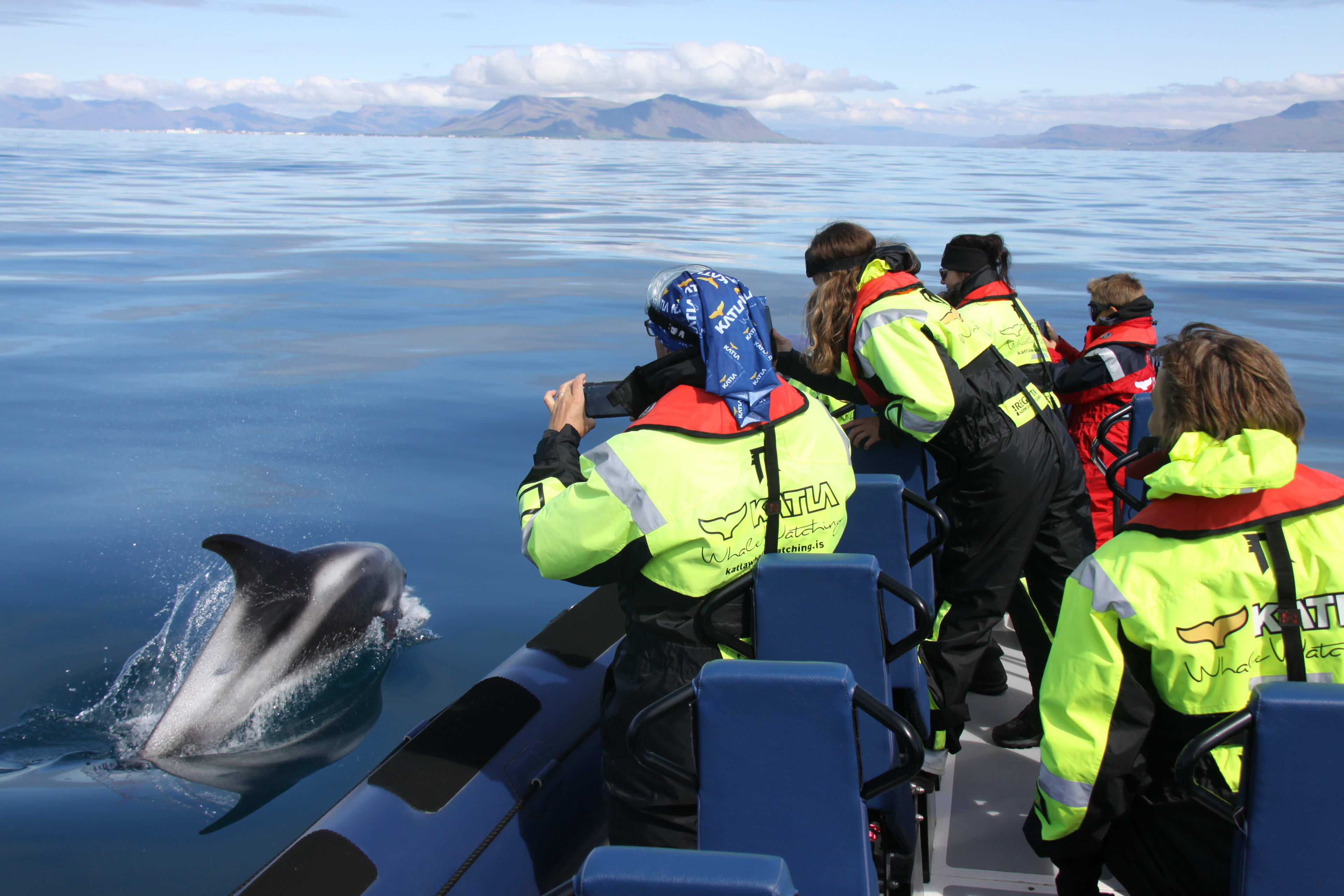 People safety on board filming whales