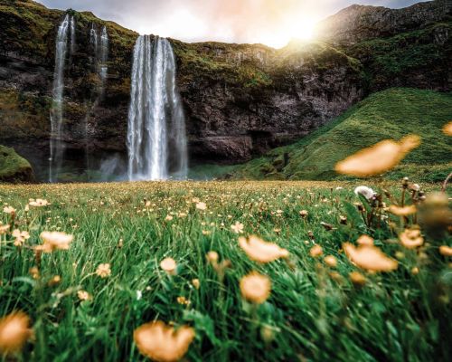 Image leading to First Day of Summer in Iceland - The Holiday You Would Not Expect