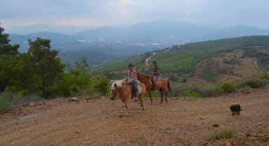 Thumbnail about Alanya horse riding