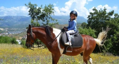 Thumbnail about Alanya horse riding