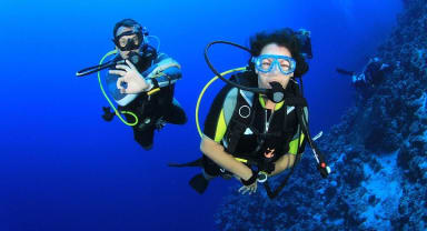 Thumbnail about Scuba diving in Side