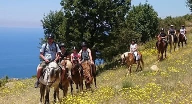 Thumbnail about Alanya Horse riding