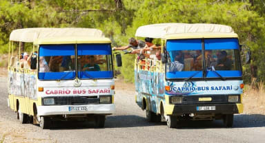 Thumbnail about Cabrio Bus and Catamaran in Manavgat Side