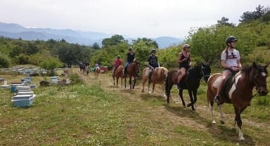 Thumbnail about Alanya horse Club