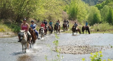 Thumbnail about Horse Riding 2-hours tour in Marmaris