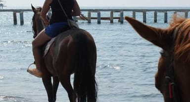 Thumbnail about bodrum-horse-riding