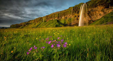 Thumbnail about Seljalandsfoss in the South coast day tour