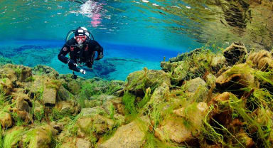 Thumbnail about Algae and rock formations in Silfra