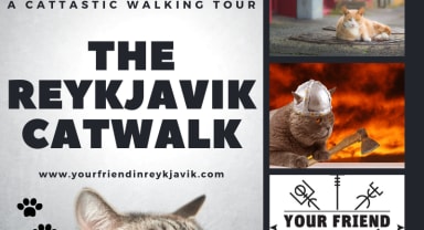 Thumbnail about The Reykjavik Cat Walk Introductory Photo