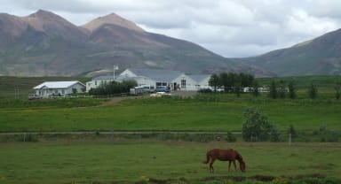 Thumbnail about Laxnes Horse Farm