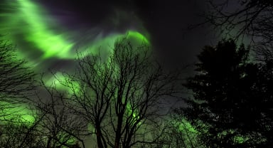 Thumbnail about Northern Lights