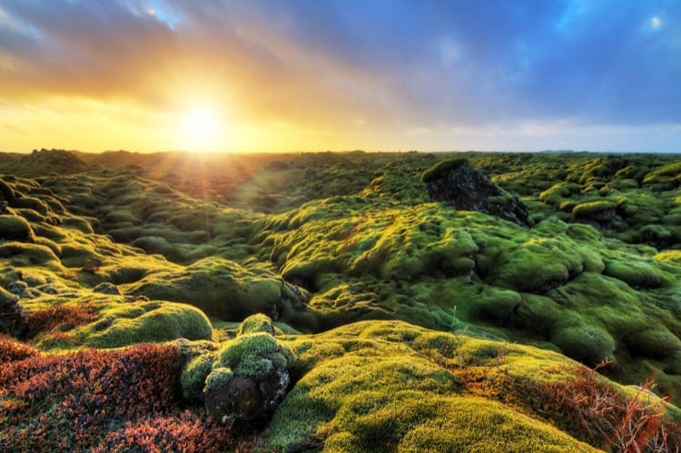 Icelandic nature is beautiful, don't walk where you are not suppose to