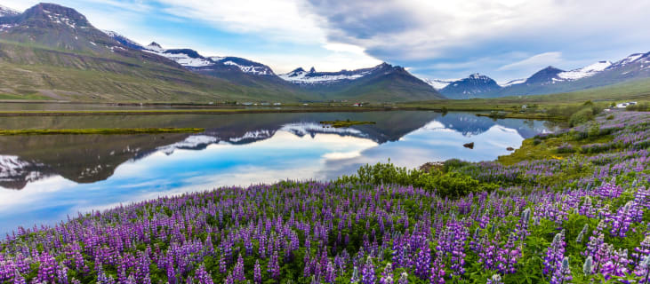 Cover image for the 4-Day Private Jeep Tour: South Coast and East Fjords + Flight experience