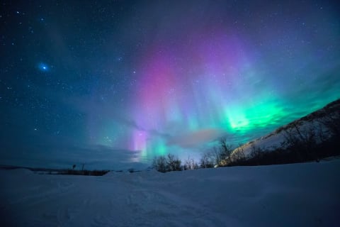Cover image for the Northern lights experience