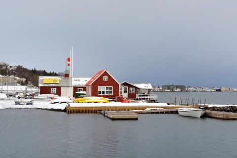 Cover image for the Local food walk in Akureyri experience