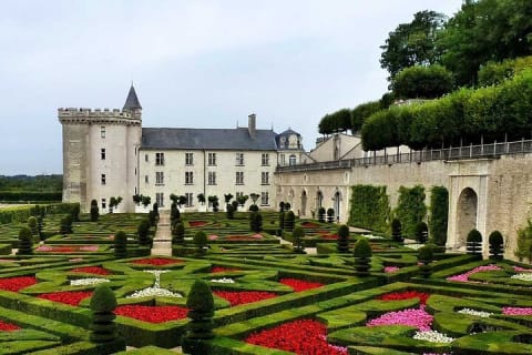 Cover image for the Loire Castles Villandry, Blois, Chaumont Private Trip from Paris experience