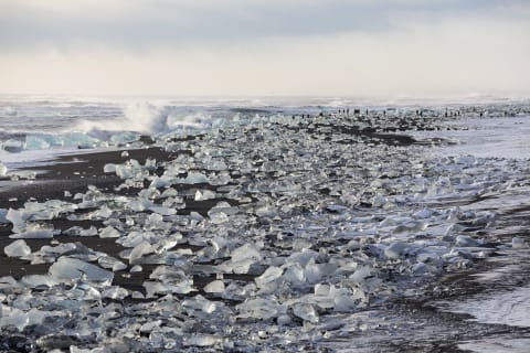 Cover image for the Jökulsárlón (Glacier Lagoon) sightseeing tour experience