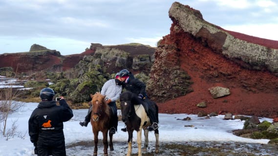 Cover image for the Horse Riding tour from Reykjavík experience