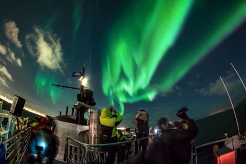 Cover image for the Northern Lights by Boat with a Backup Plan experience