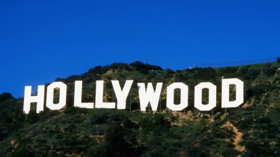 Cover image for the Hollywood experience