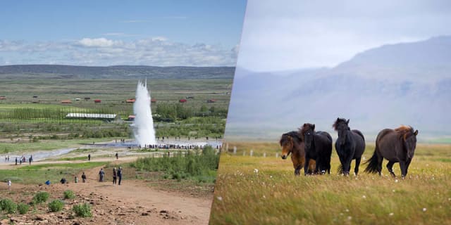Cover image for the  GOLDEN CIRCLE AND HORSES experience