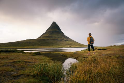 Cover image for the Snæfellsnes Peninsula in a small group tour with home-cooked meal included experience