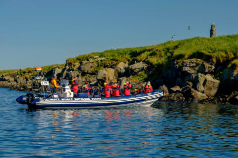 Cover image for the Premium Puffin Tour experience