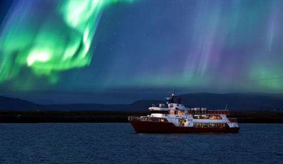 Cover image for the Reykjavík Northern Lights Cruise experience