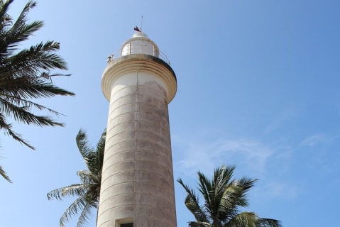 Cover image for the Galle Fort, Turtle, - Private Day Tour From Negombo or Colombo experience