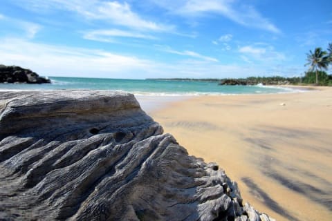 Cover image for the Airport (CMB) to Galle Private Taxi 24/7 Car, Van. experience