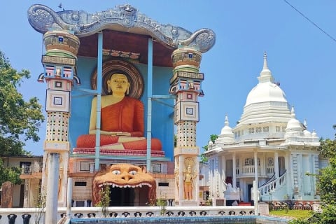 Cover image for the Negombo City Tour – A Safe & Comfortable Private Experience experience