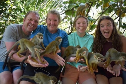 Cover image for the Monkey Mania Puerto Plata experience