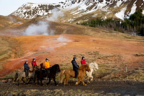 Cover image for the 03C - Horses and Hot Springs experience