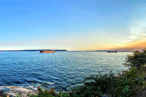 Cover image for the Vancouver Day Tour | Visit The Most Unique Places! Private experience