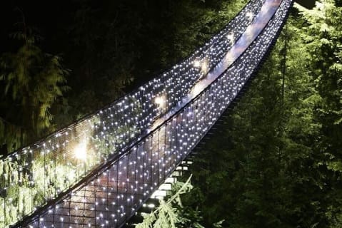 Cover image for the Vancouver Capilano Canyon light and peak of Christmas in Grouse mountain experience