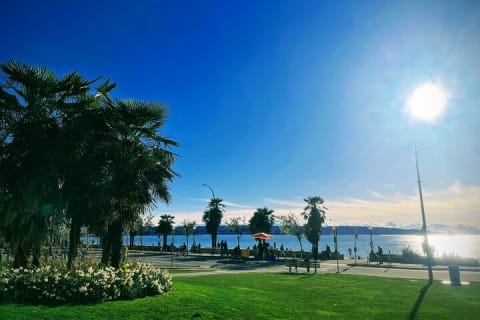 Cover image for the Private Vancouver City Amazing Highlight Tour With Chinese Garden experience