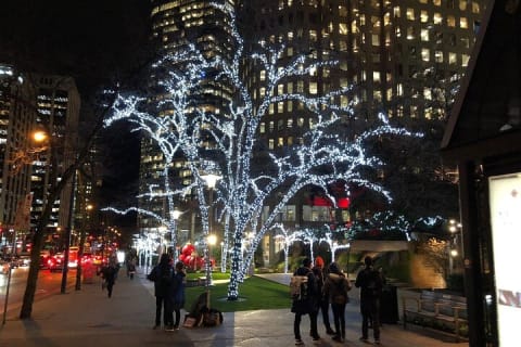 Cover image for the Vancouver Christmas Light Tour private experience