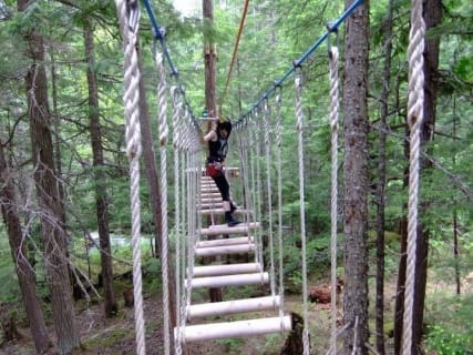 Cover image for the Vancouver thrill adventure Family Tour experience