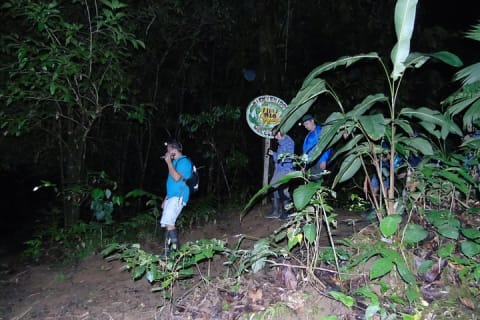 Cover image for the NativosCorcovado Night Hike experience