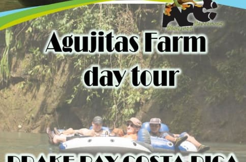 Cover image for the AgujitasFarm Day Tour experience