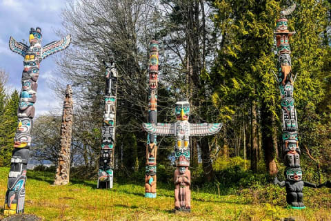 Cover image for the Vancouver City Tour With Stanley, Grouse Mountain & Capillano Suspension Private experience
