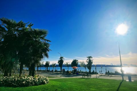 Cover image for the Private Vancouver ALL IN ONE Full Day City Tour with 20 Attractions experience