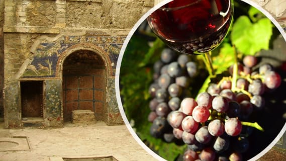 Cover image for the POMPEII & WINE TASTING tour from Naples - Group Tour experience